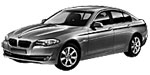 BMW F10 P3676 Fault Code